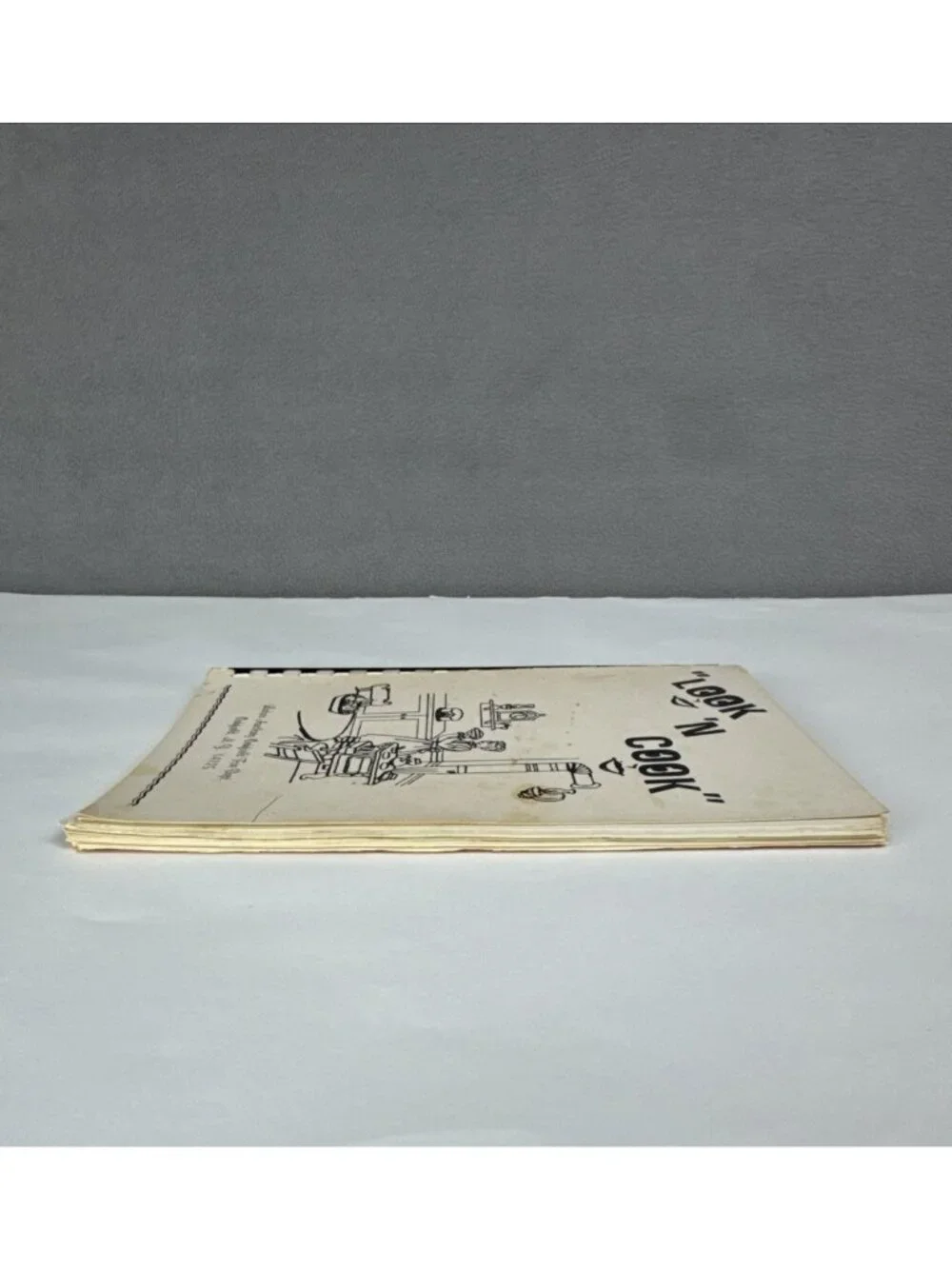 Vtg Look N Cook Oakfield New York Fire Dept Ladies Auxiliary Cookbook 50s/60s